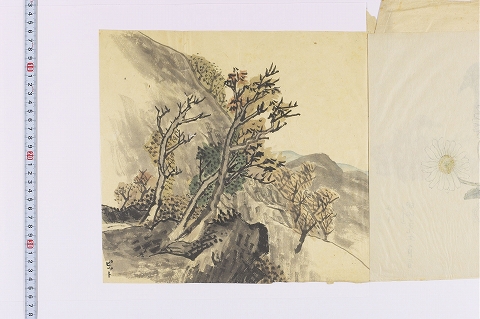 山
