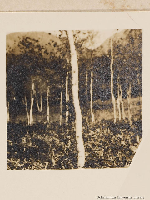 卒業記念写真帖 『みかきあいて』（昭和12年3月、家事科） 修学旅行