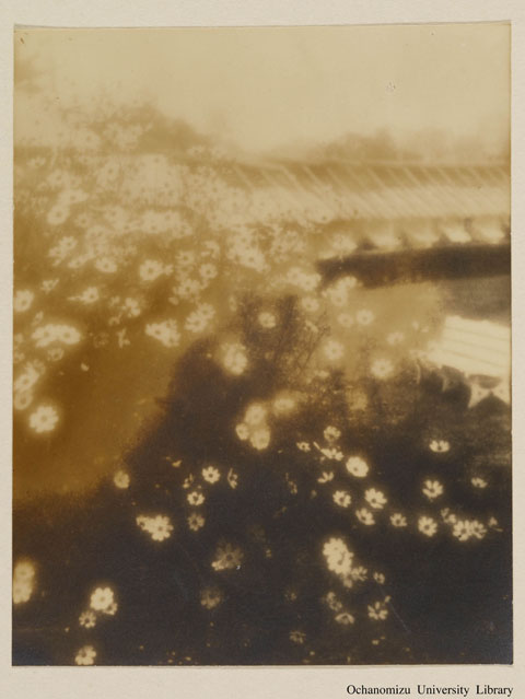 卒業記念写真帖 『於もひ出』（昭和14年3月、家事科） 秋桜