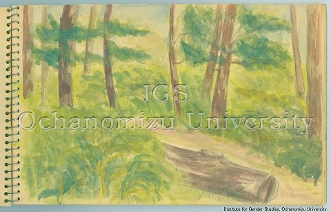 湯浅年子資料 a Vimoutiers