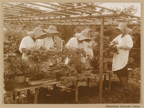 東京女子高等師範学校　生徒作業状況写真 「Gardening 1」