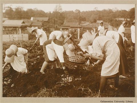 東京女子高等師範学校　生徒作業状況写真 「Gardening 2」(1)