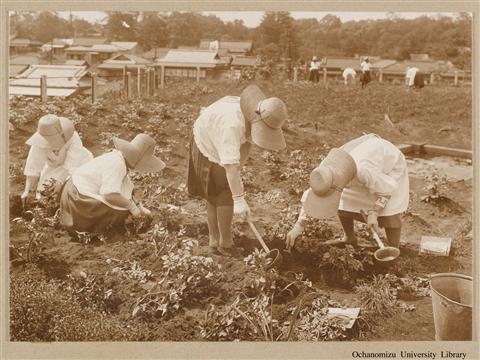 東京女子高等師範学校　生徒作業状況写真 「Gardening 2」(2)