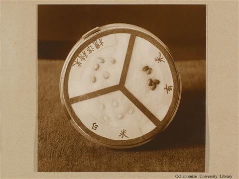 東京女子高等師範学校　生徒作業状況写真 「Nutrition 2」(3)