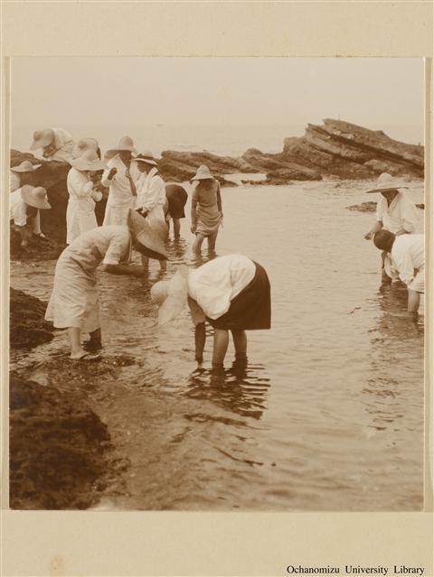 学校生活 動物採集