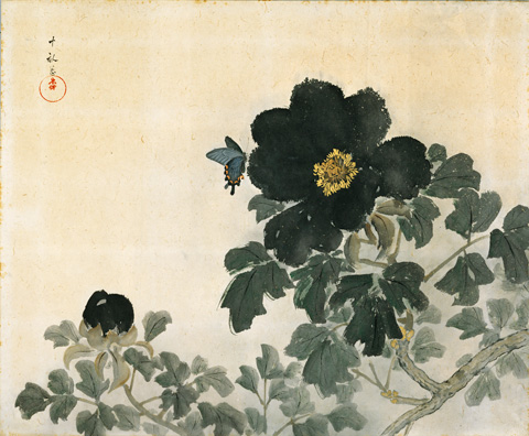 花蝶図