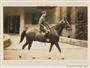 賀陽宮恒憲王殿下Tokyo Women’s Higher Normal School御合臨Photographs帖 Prince Tsunenori on a Horse