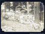 妙高林間学校写真帖（昭和二年頃） 石灯籠の前で