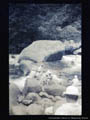 妙高林間学校写真帖（昭和二年頃） 川辺の大きな岩の上で